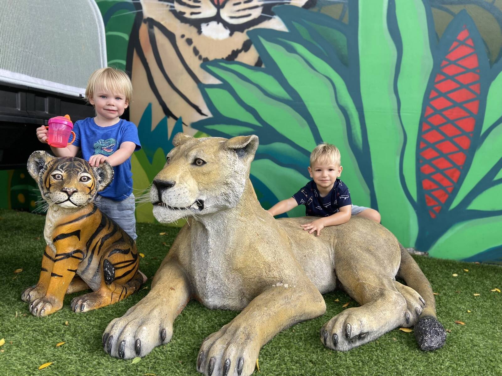Figtree Early Learning Centre Croydon