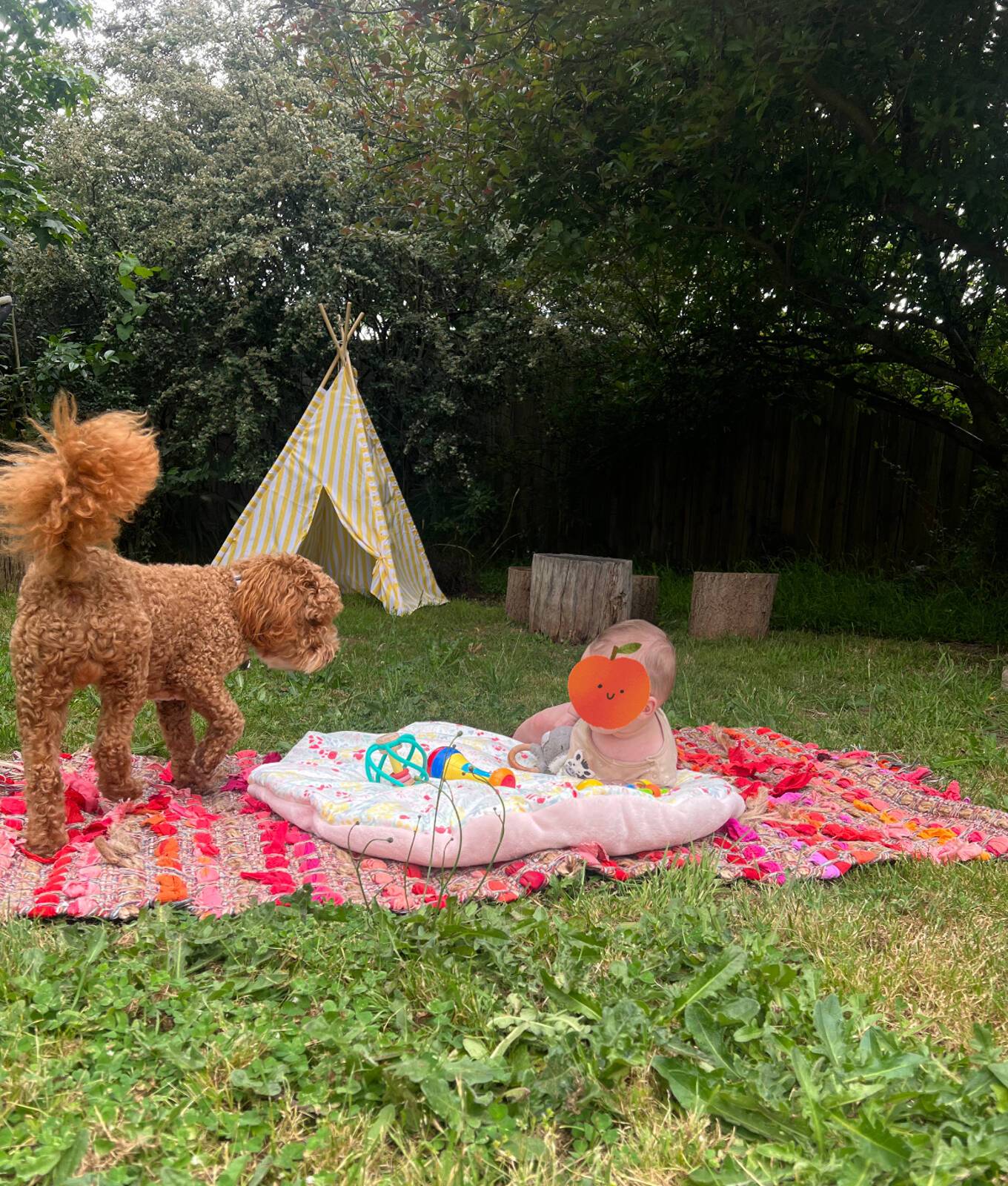 MindTrees Family Day Care