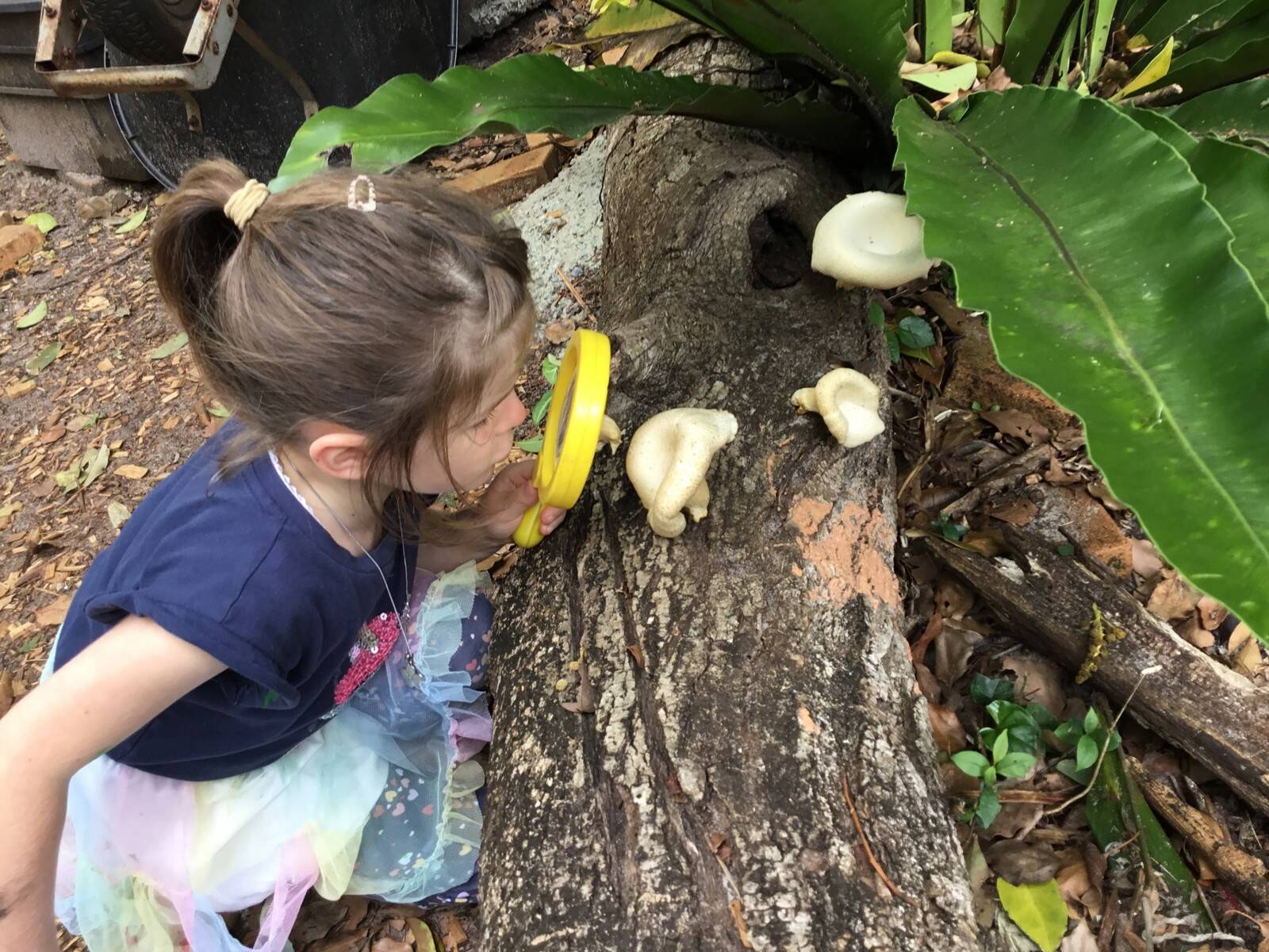 Federal Community Children's Centre