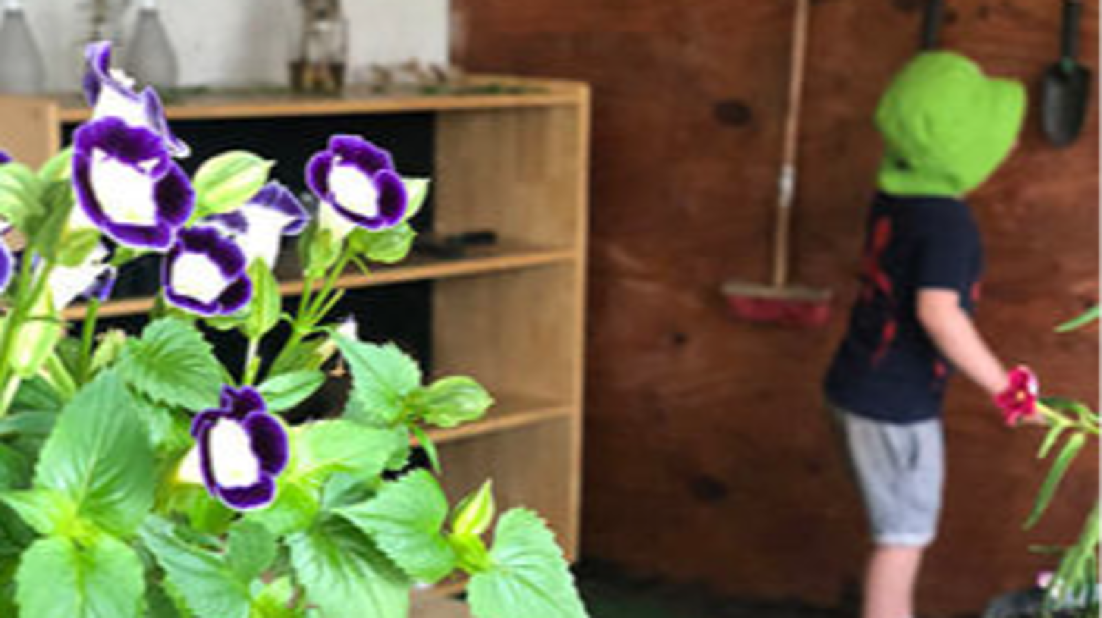 Imagine Early Learning & Childcare - Toronto