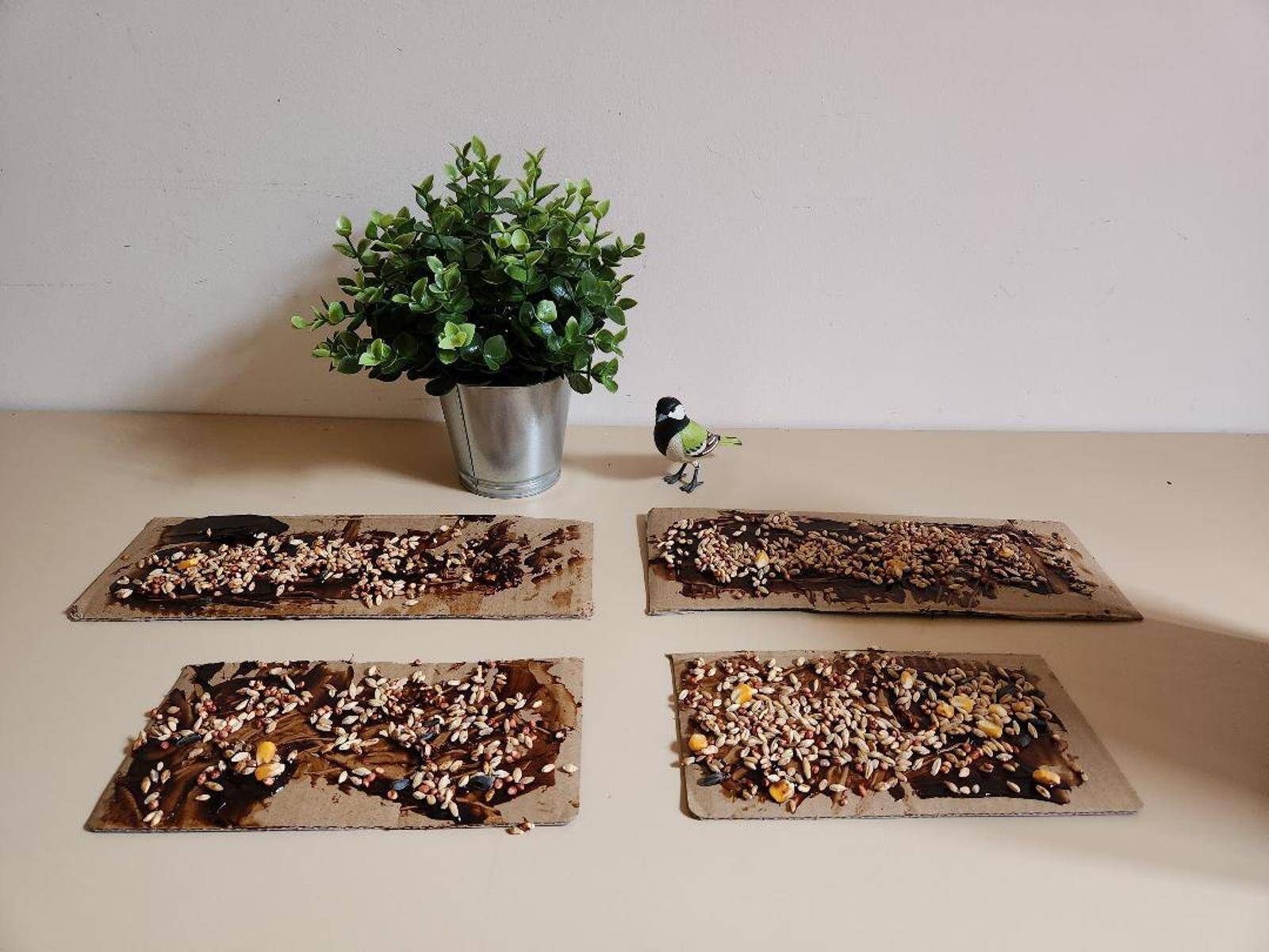 Back to Nature Family Daycare