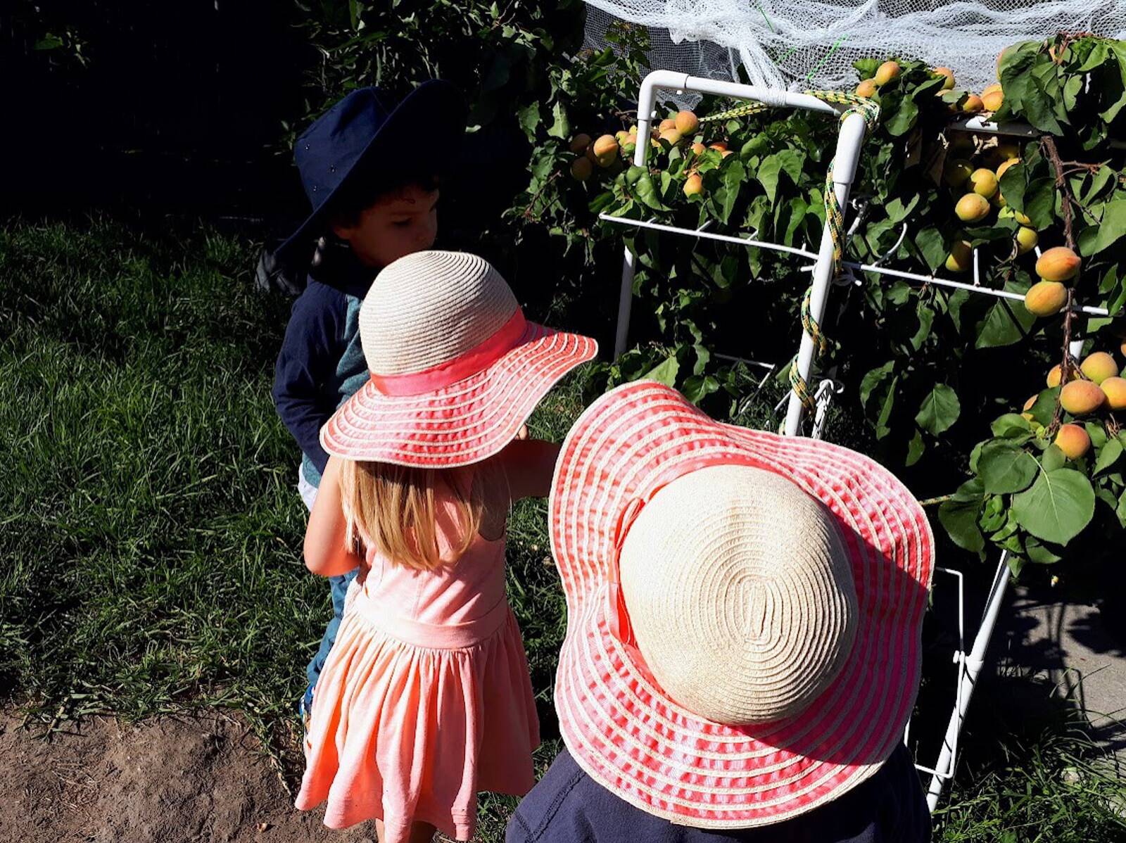 Lizandre Family Day Care - Childcare on an Urban Food Farm