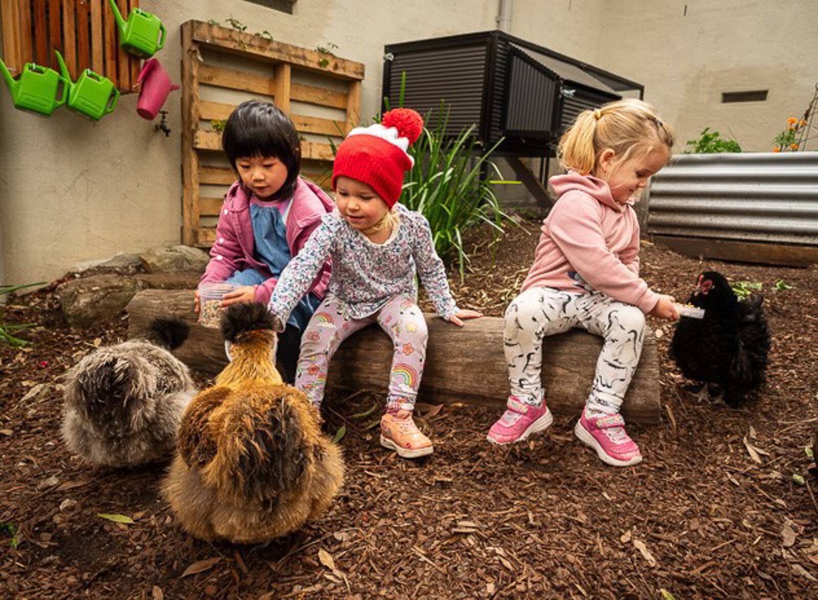 Ku-ring-gai Kindergarten