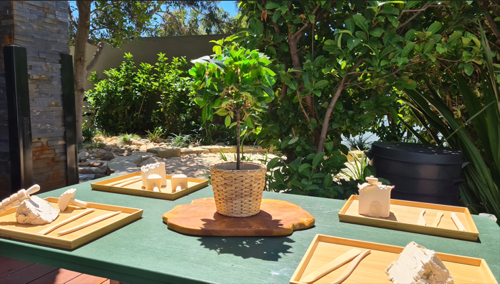 Little Zak's Academy Rhodes [Rated Exceeding!]