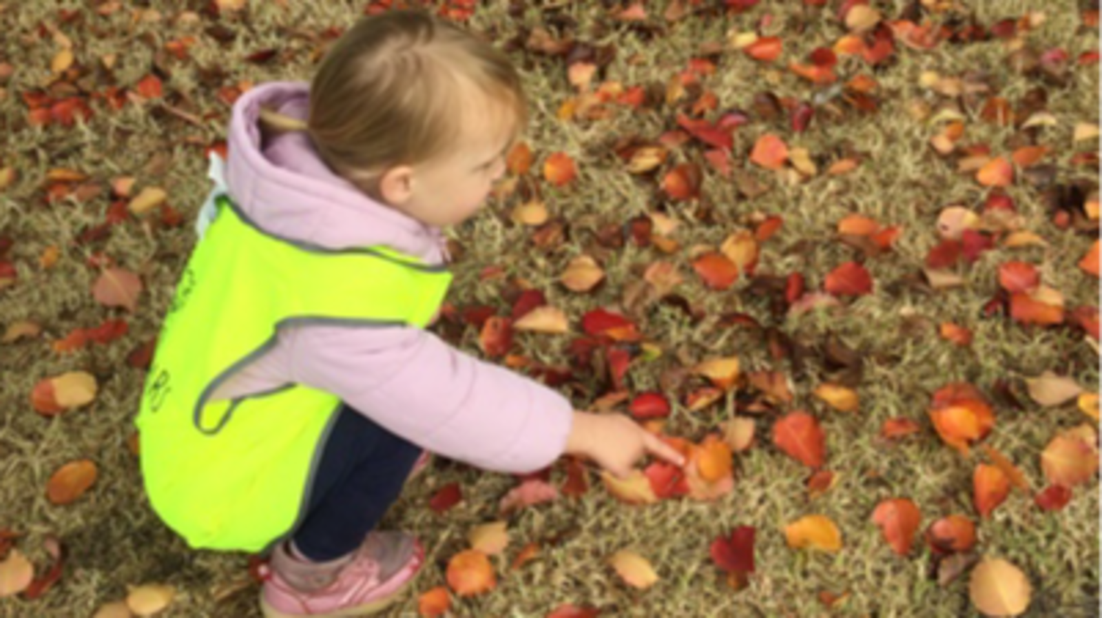 Future Super Stars ELC Epping