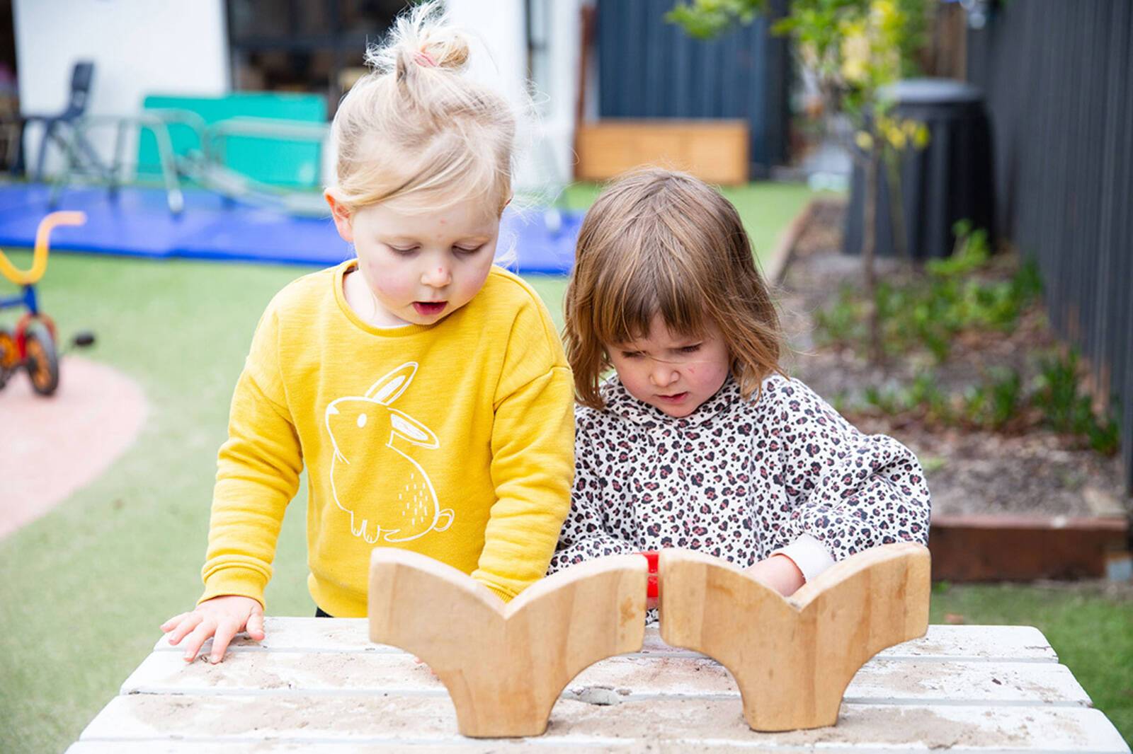 Story House Early Learning Diamond Creek