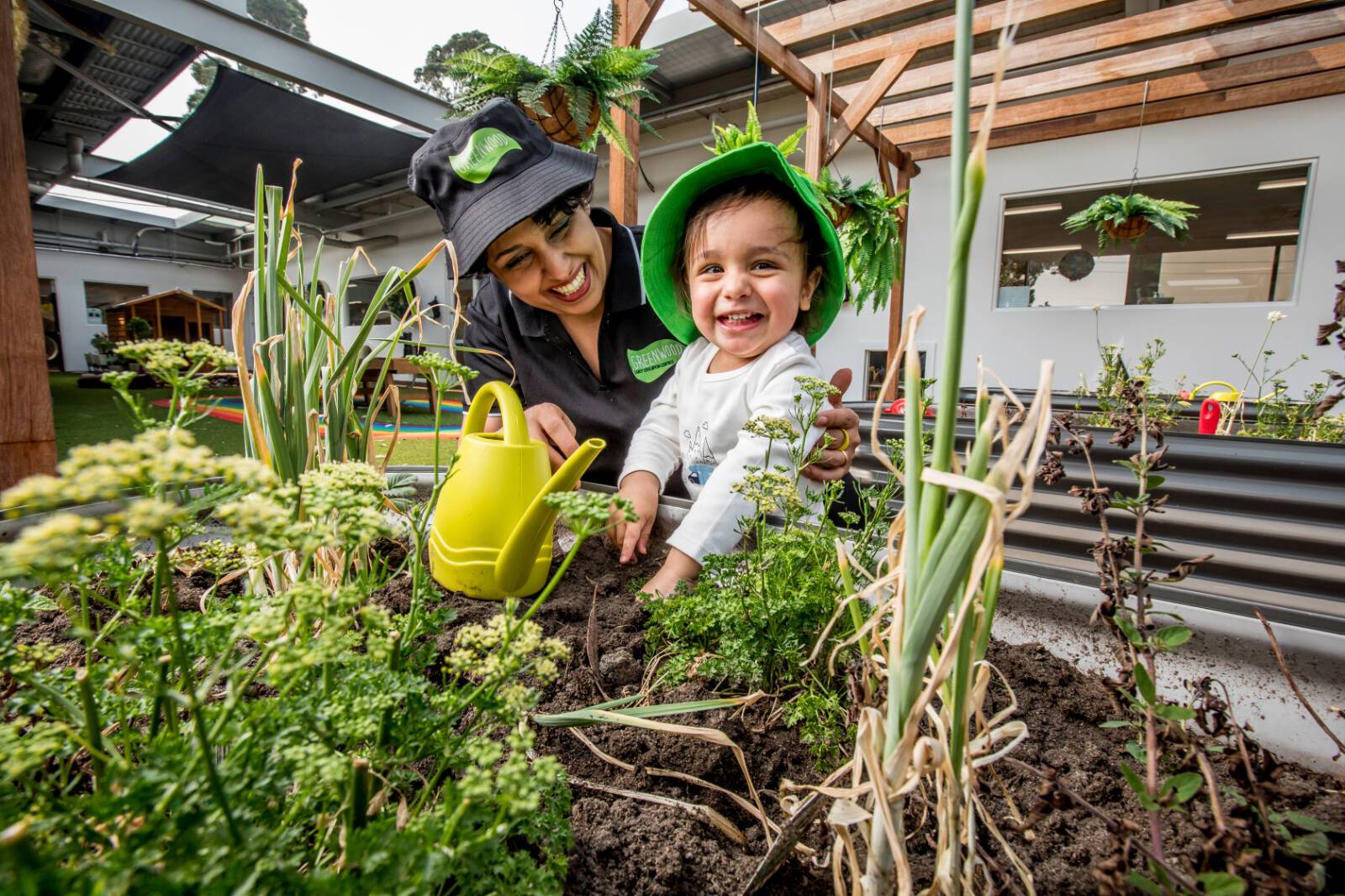 Explore & Develop Artarmon - Dickson Ave