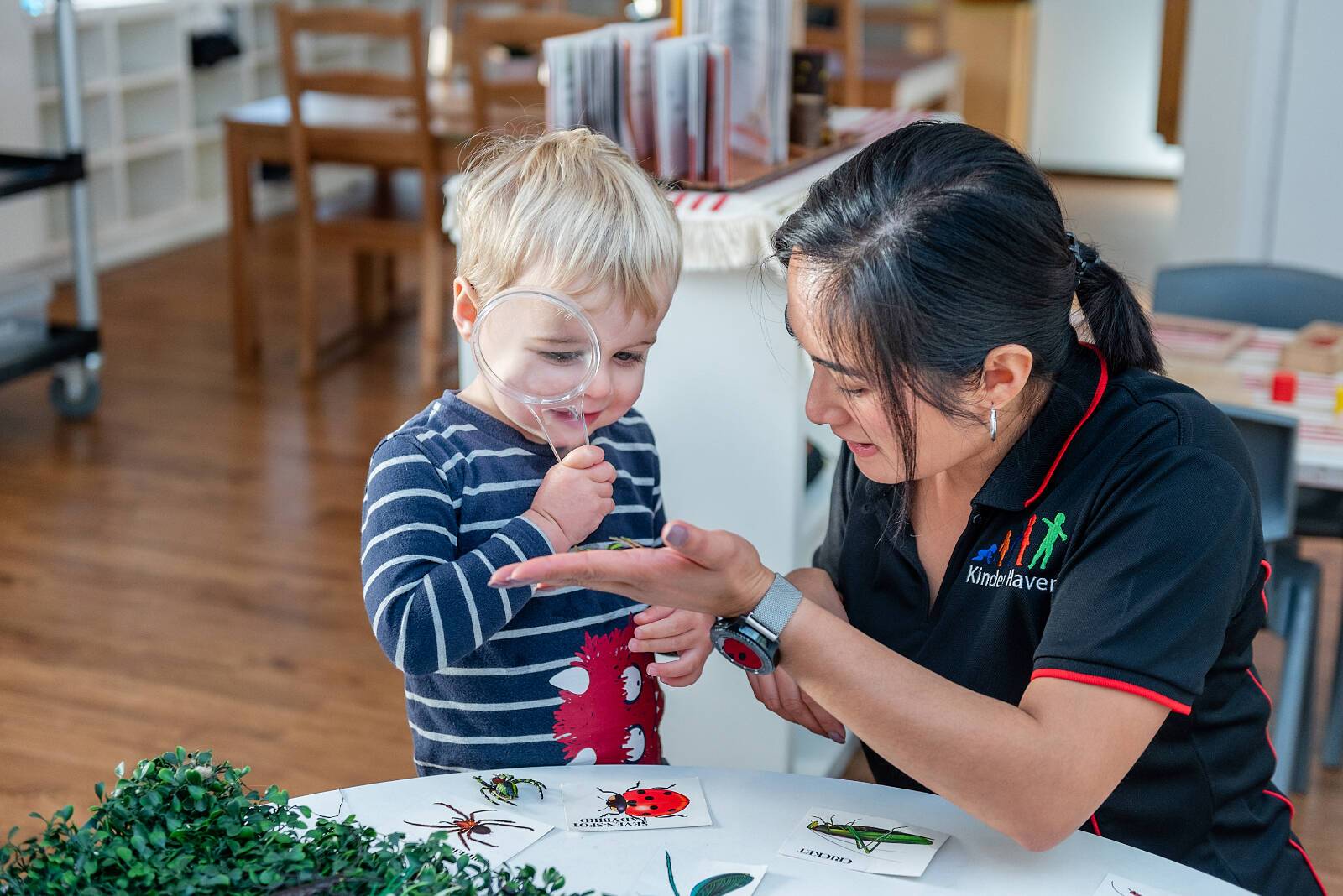 Essendon Fields Kinder Haven