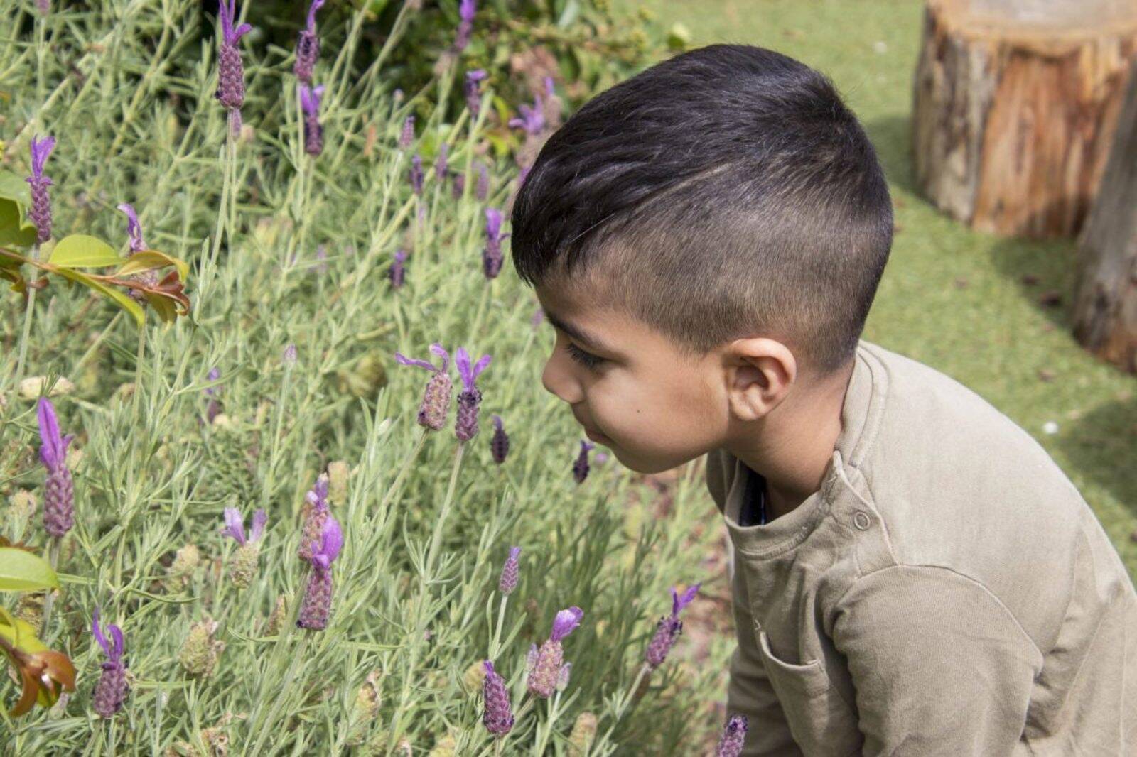 Story House Early Learning Aspen