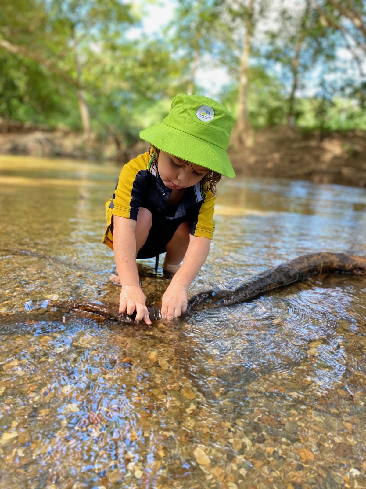 Freshwater Christian Kindergarten