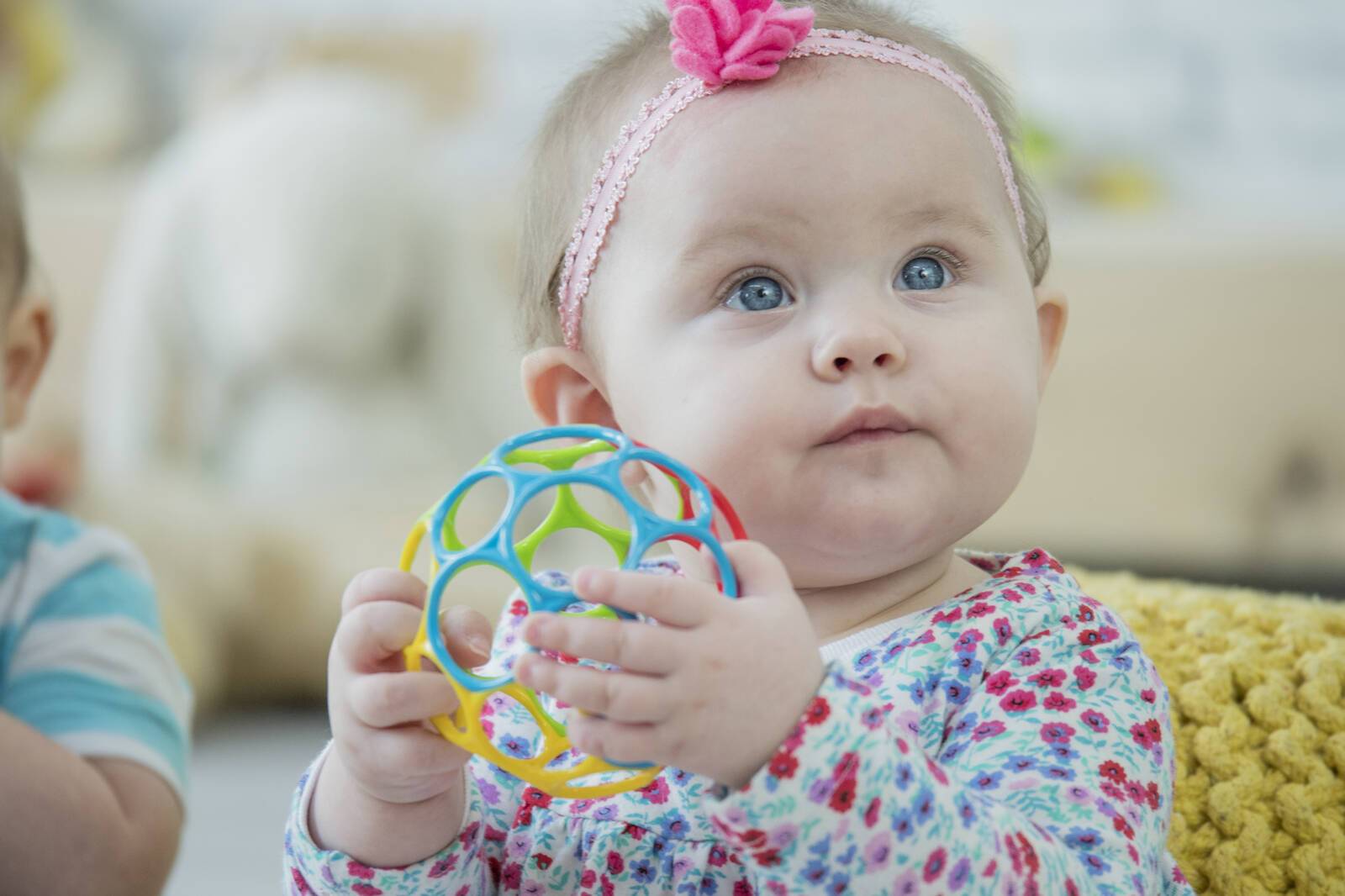 Toybox Early Learning - North Sydney