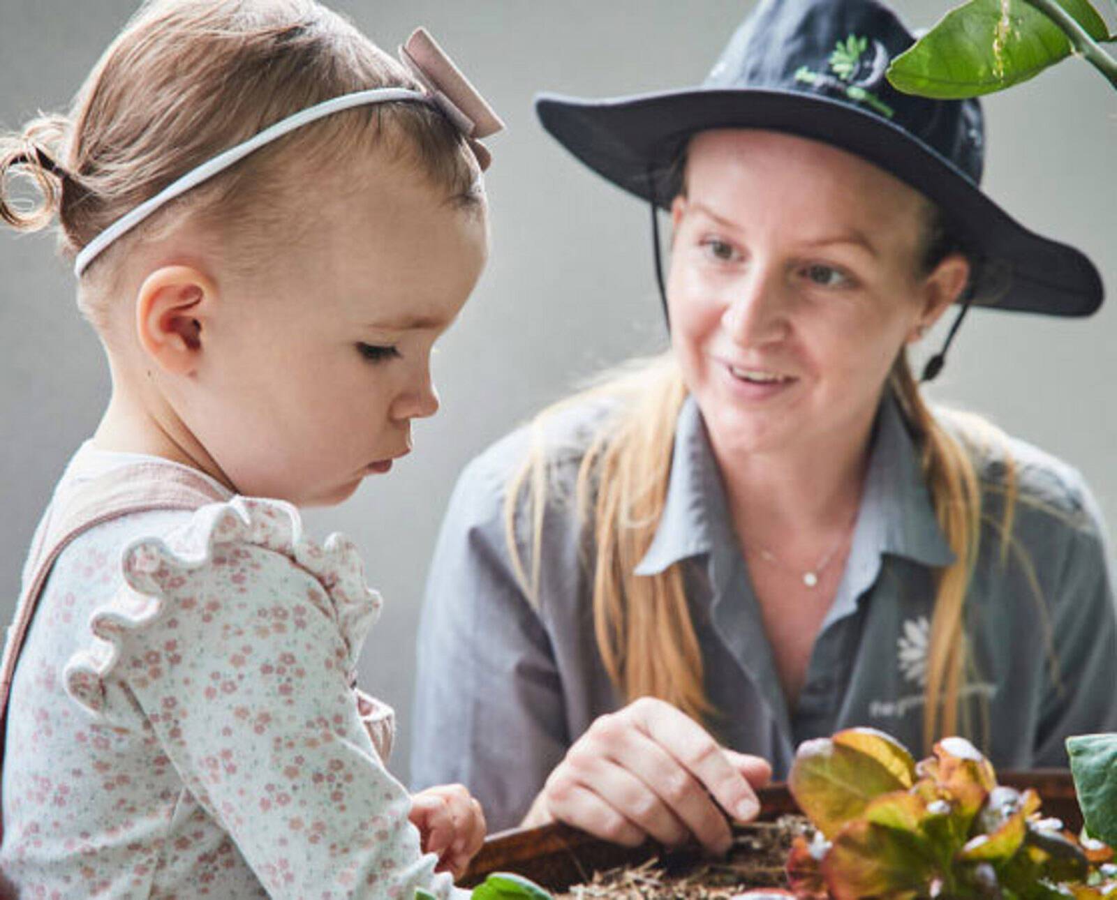 The Grove Academy - Edmondson Park 2