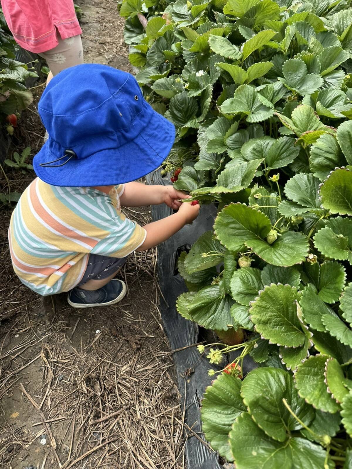 Watch Me Grow Family Day Care