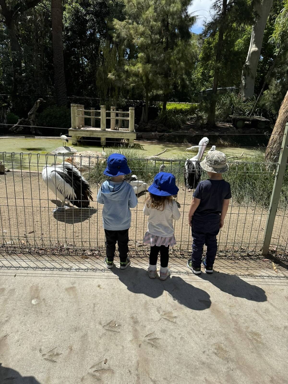 Watch Me Grow Family Day Care