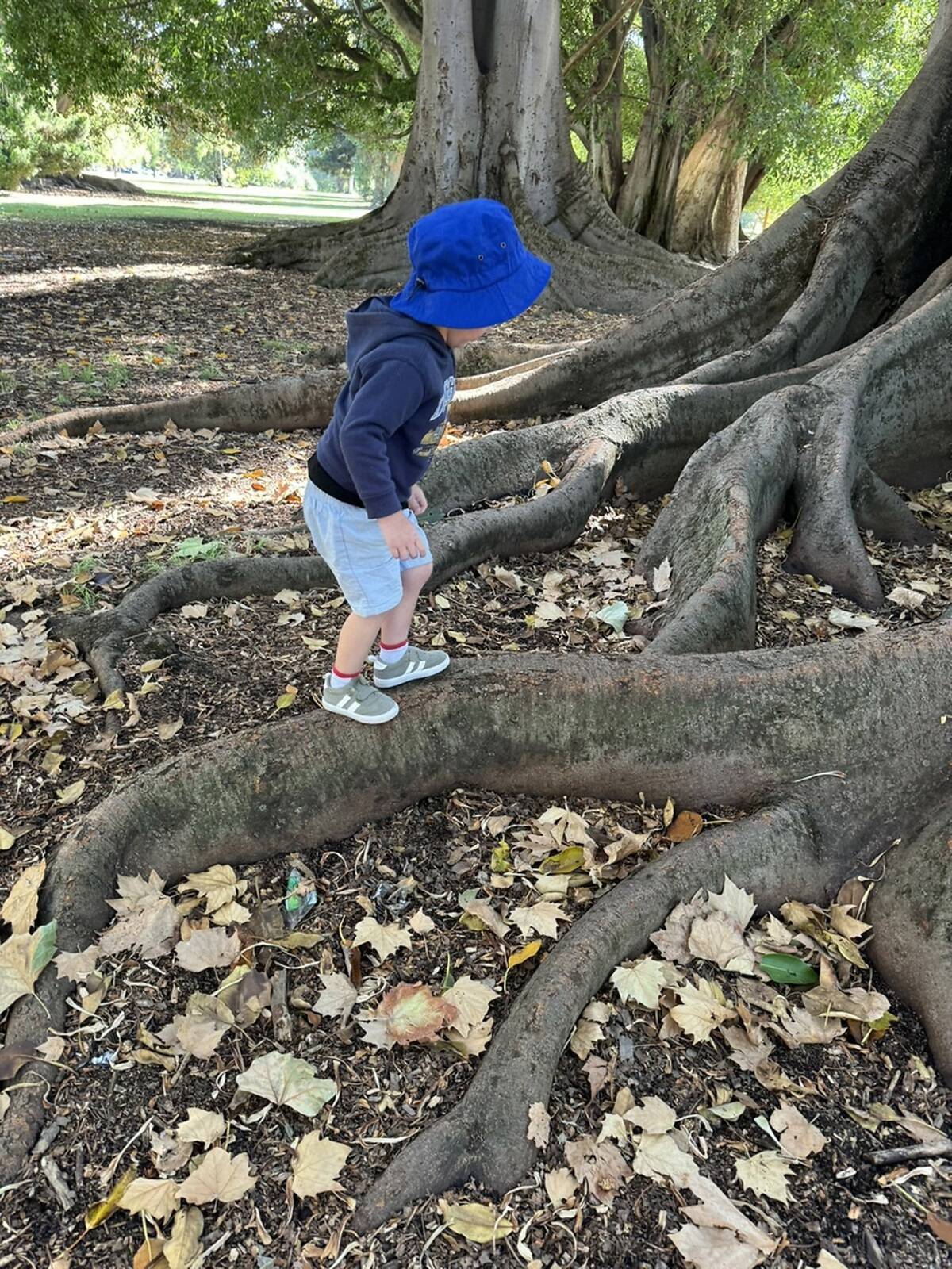 Watch Me Grow Family Day Care