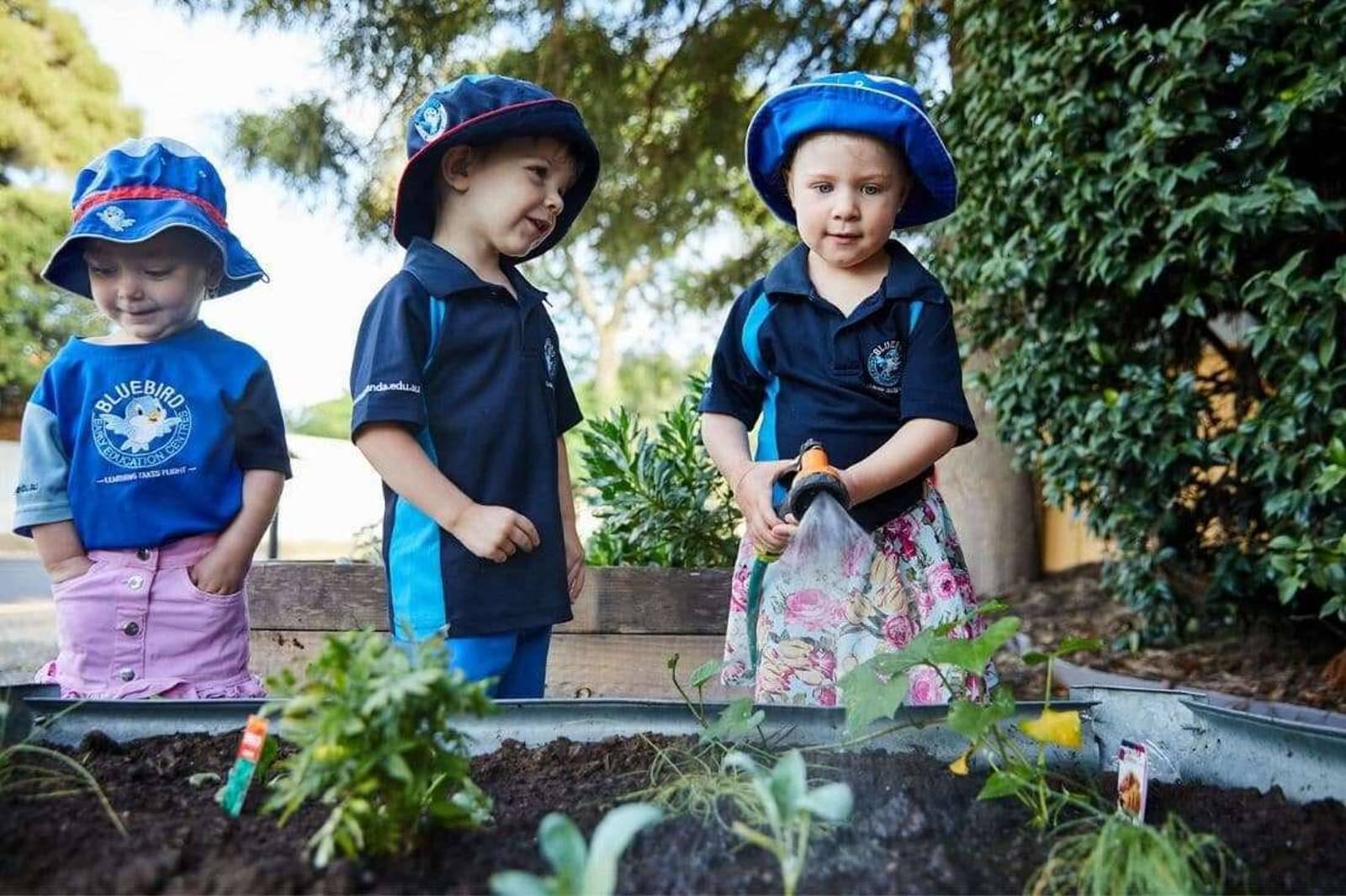 Bluebird Early Education Cardiff