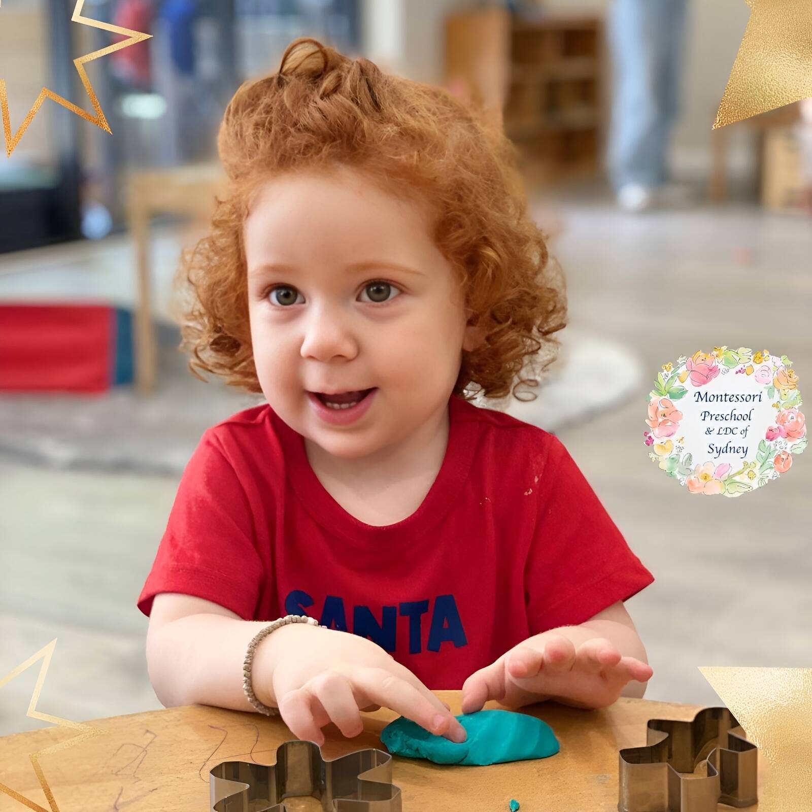 The Montessori Preschool & LDC of Sydney