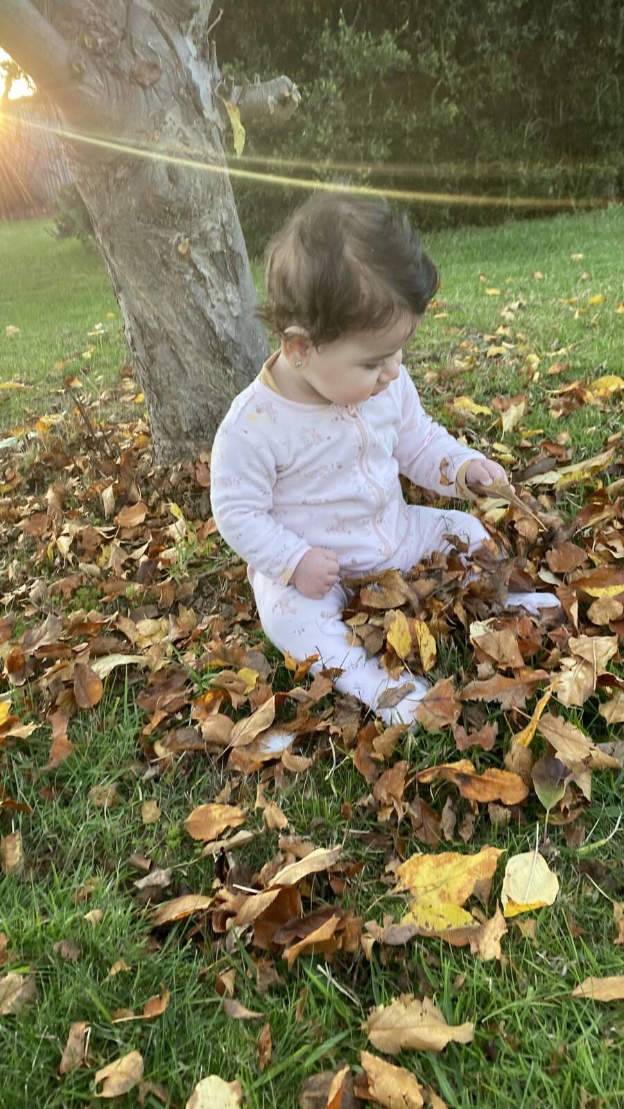 Amanda's Family Daycare