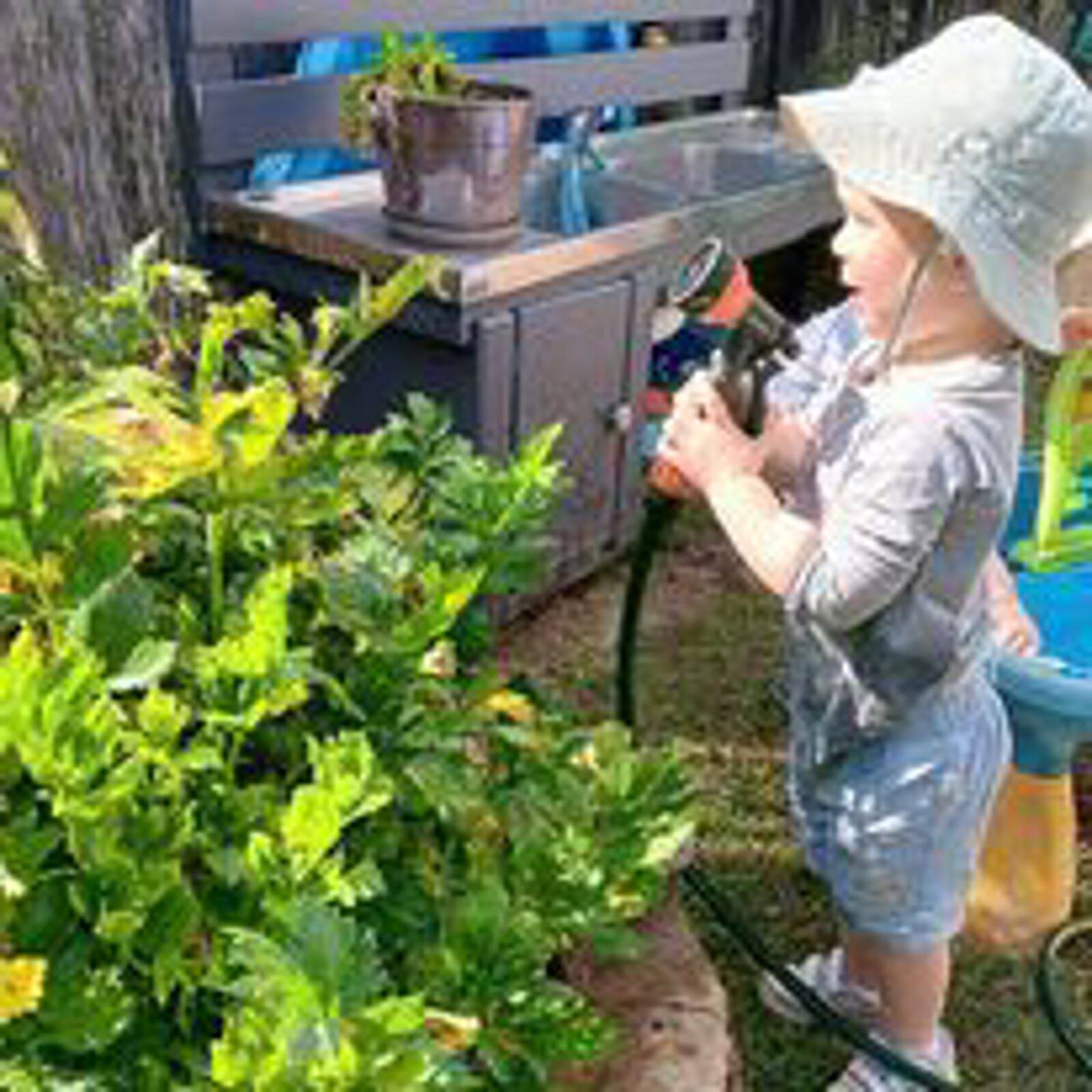 Kristy's Little Kingdom