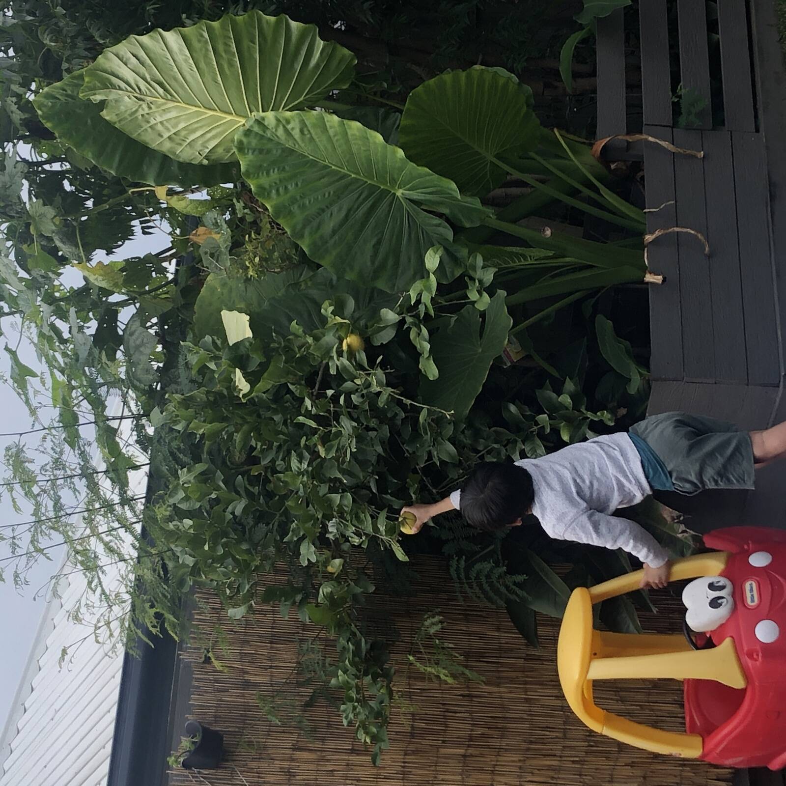 Dees family daycare centre