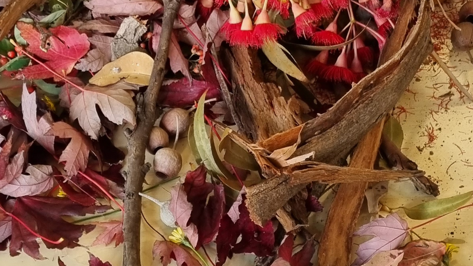 Werribee Little Learners