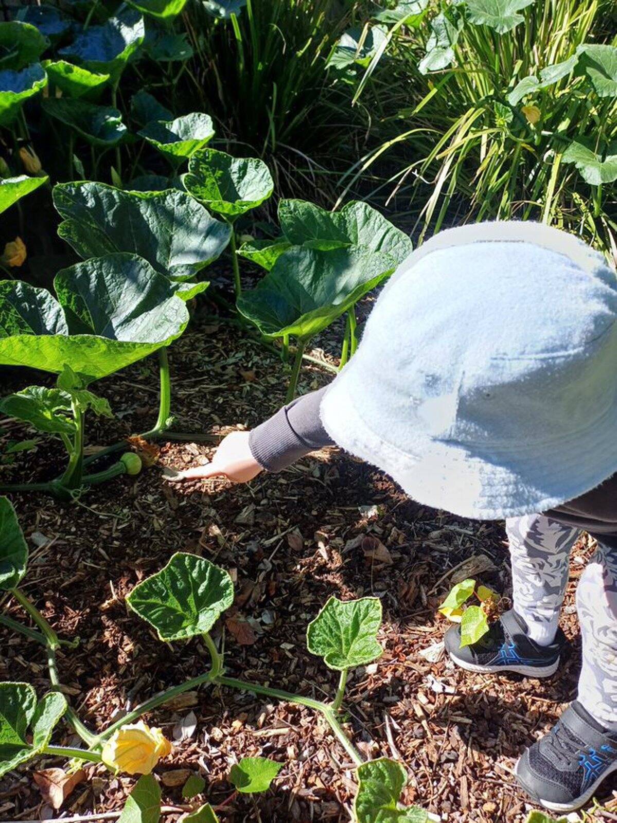 Shine Family Daycare