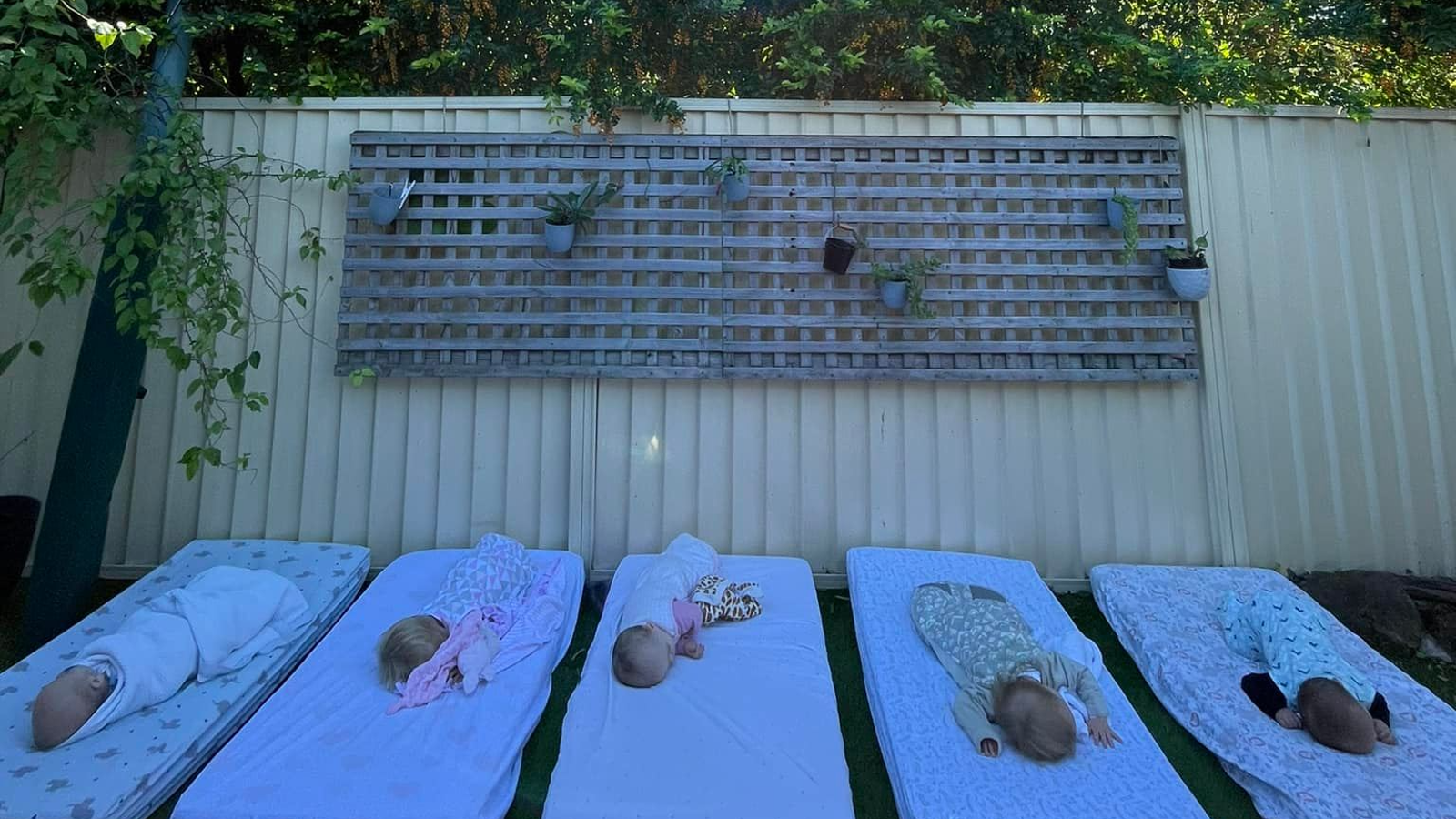 The Strawberry Bush Early Learning Academy