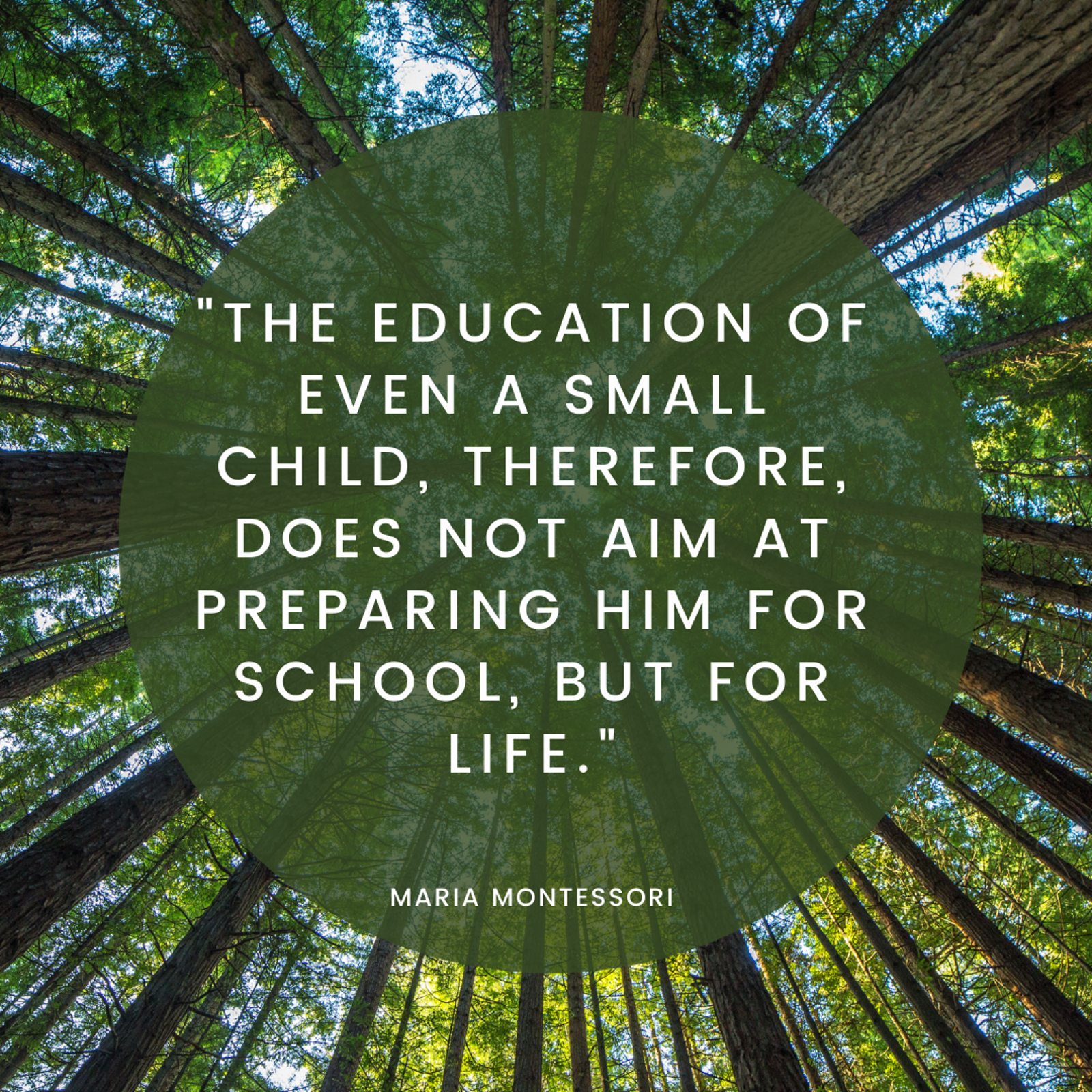 EngageFunLearning Montessori Family Day Care 