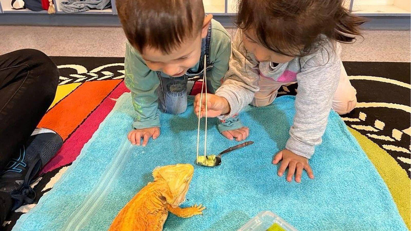 Kiddyland Childcare Centre - Hurstville