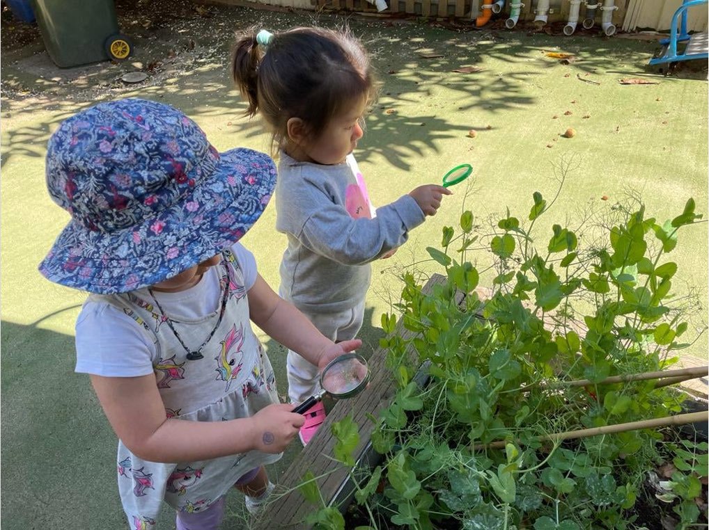 Kiddyland Childcare Centre - Hurstville