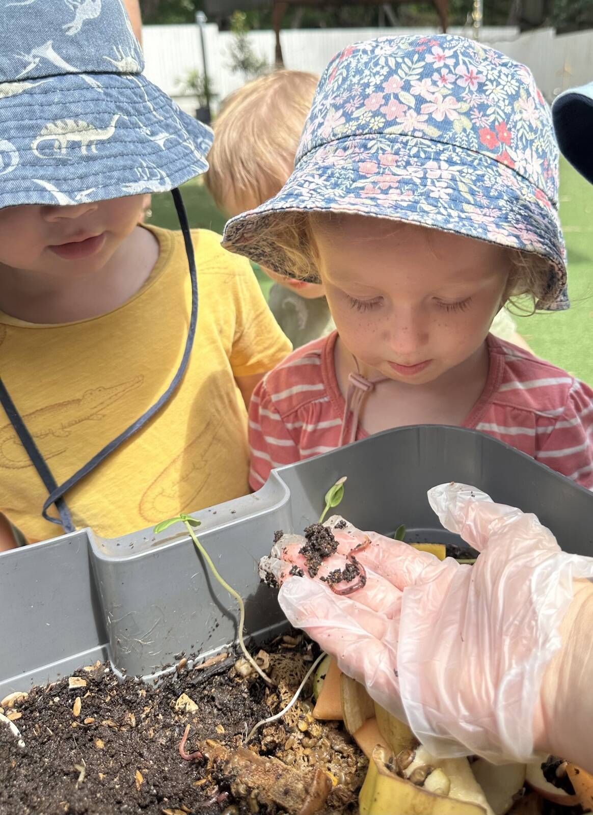 Currumbin Village Early Learning