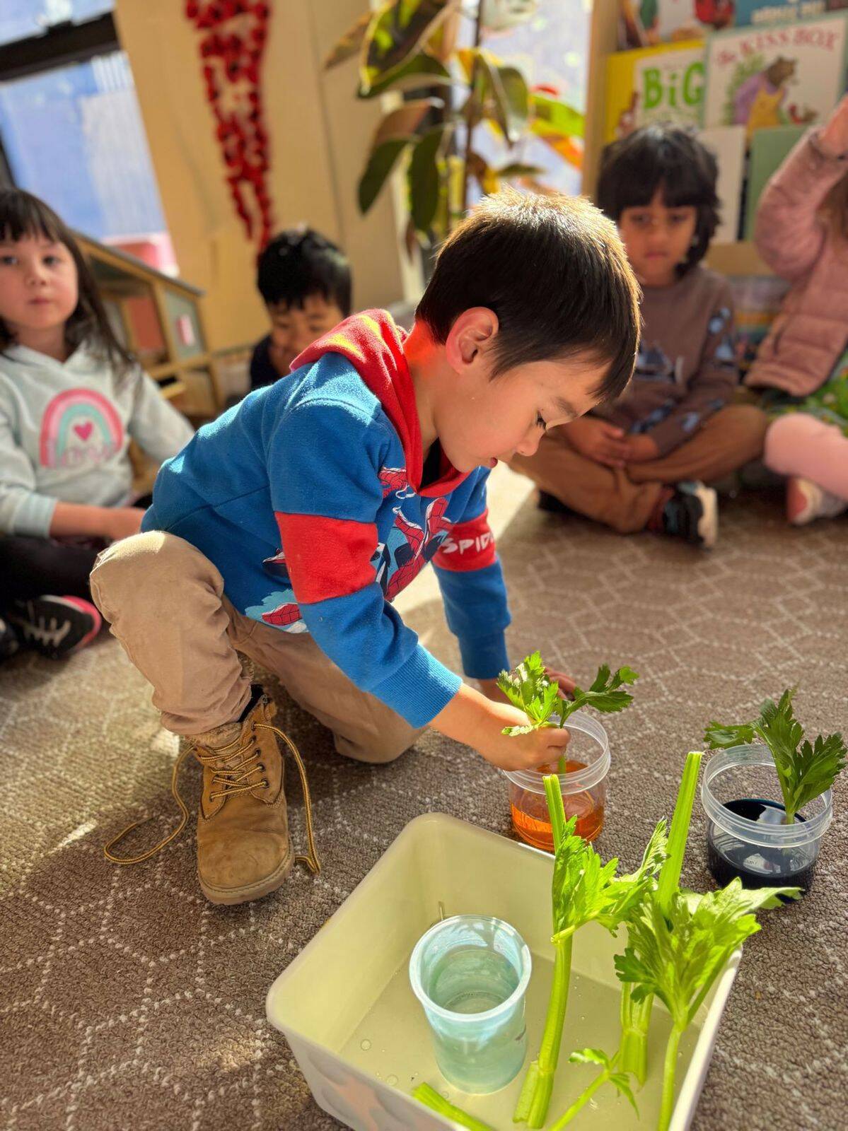 A2Z Childcare and Kindergarten