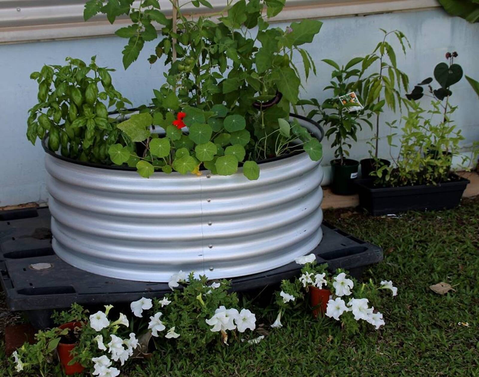 Top End Early Learning Centre