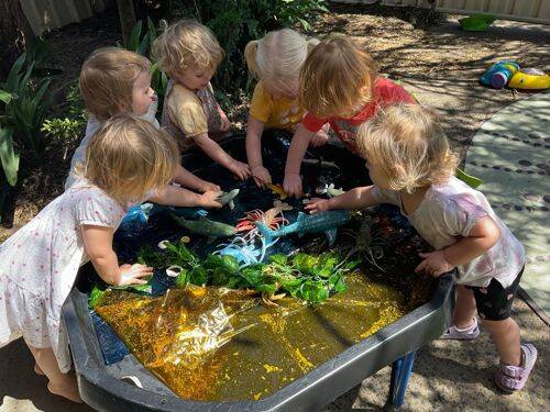 Oz Education Boambee East