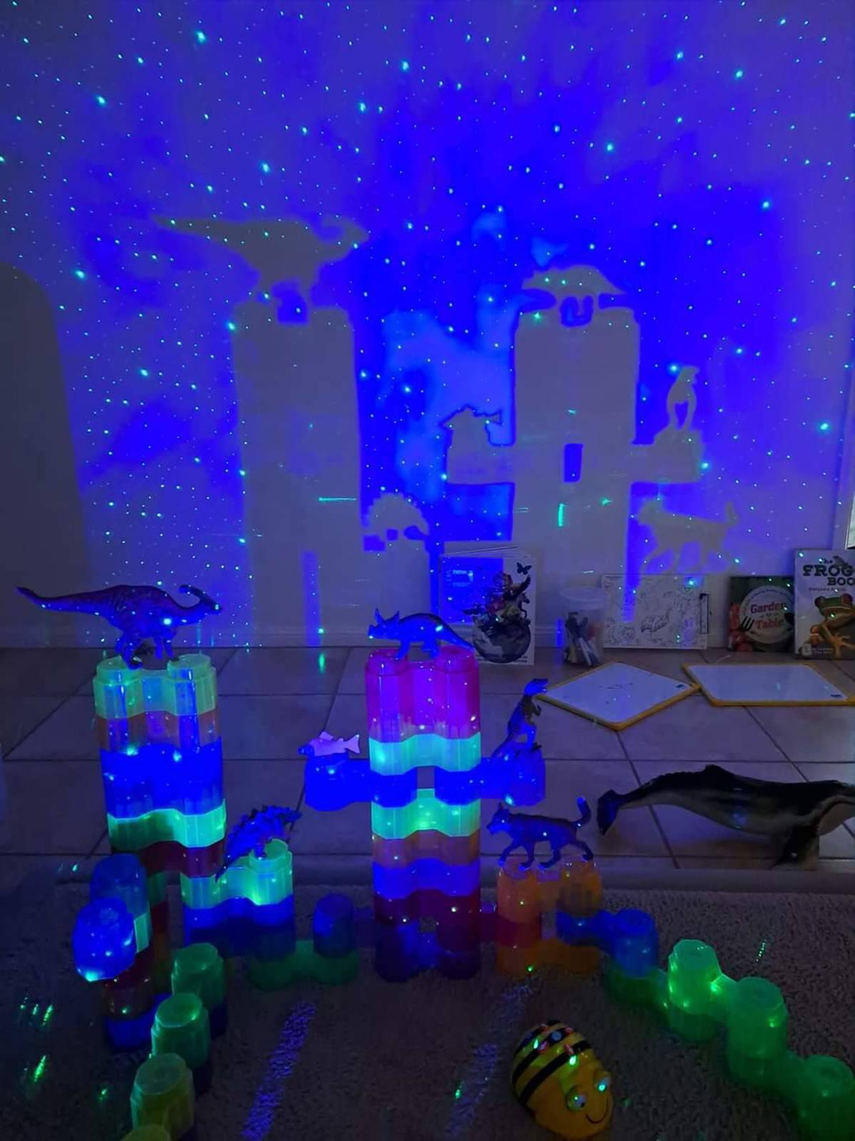 Beyond the Walls Family Day Care