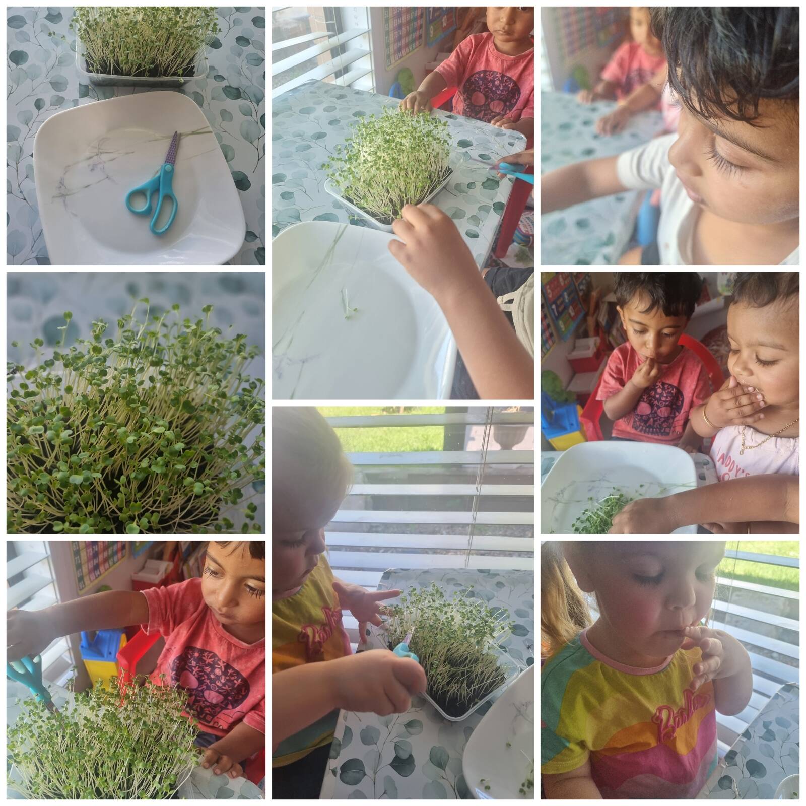 Star Tots Family Day Care