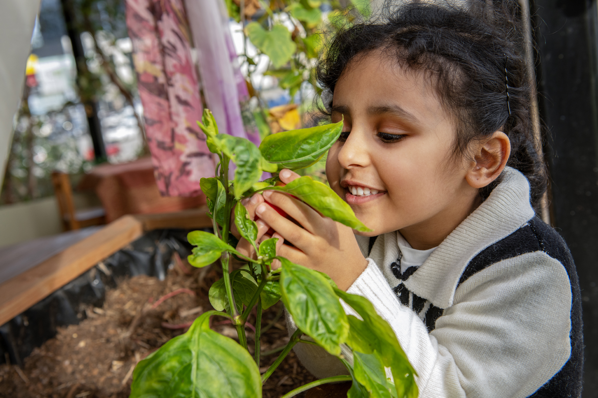 Gowrie Docklands Kindergarten