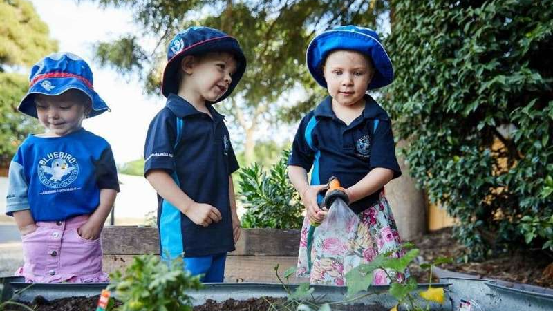 Bluebird Early Education Glen Waverley