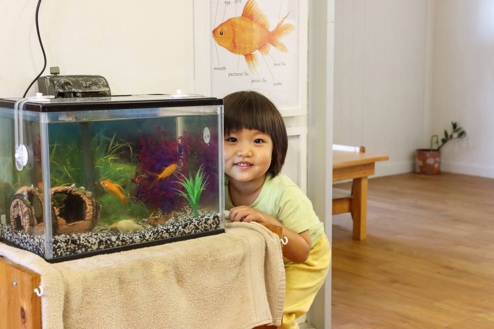 Building Futures Montessori - Wavell Heights