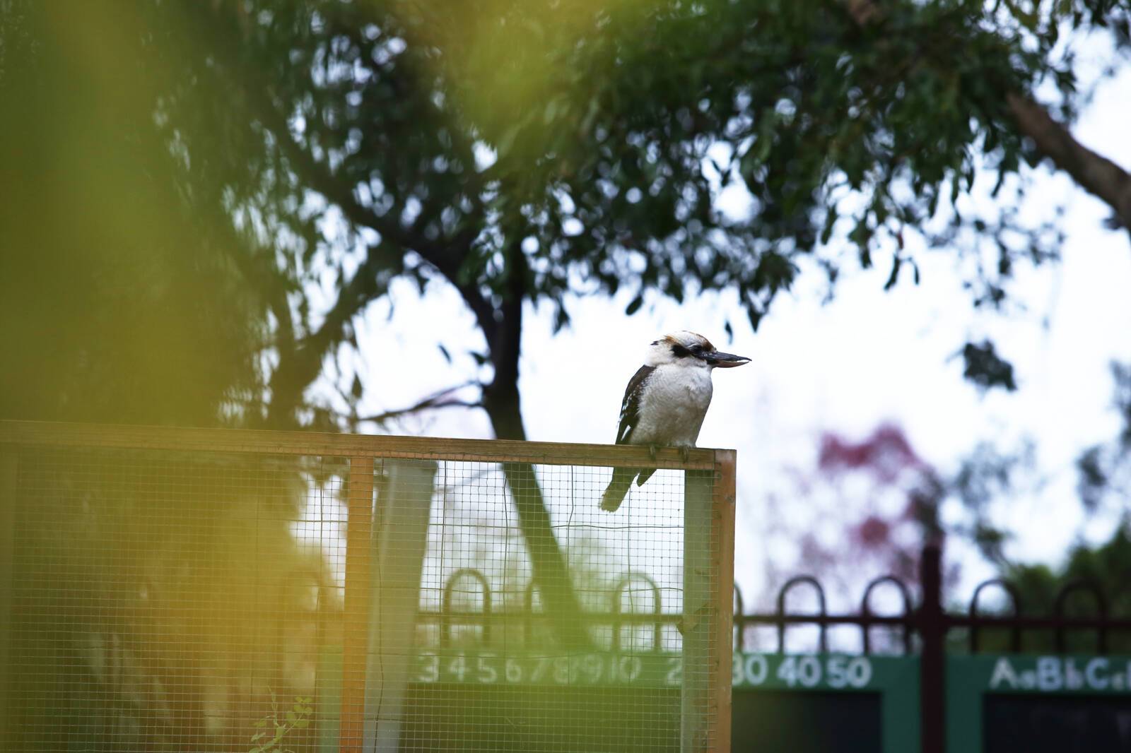 Yarra Warra Preschool