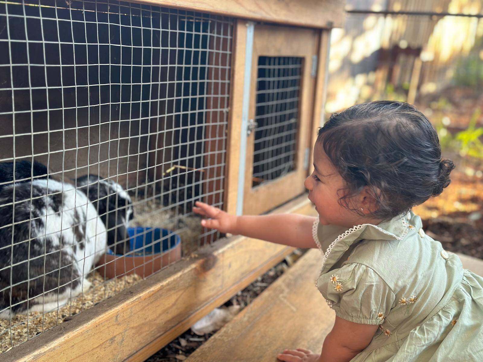 Little and Loved Early Learning Centre