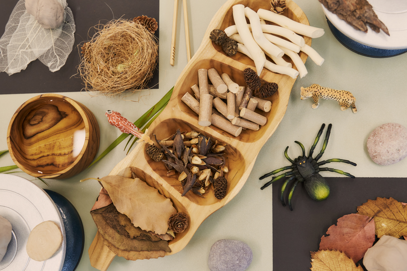 Little Navigators Early Learning Centre - Everton Park