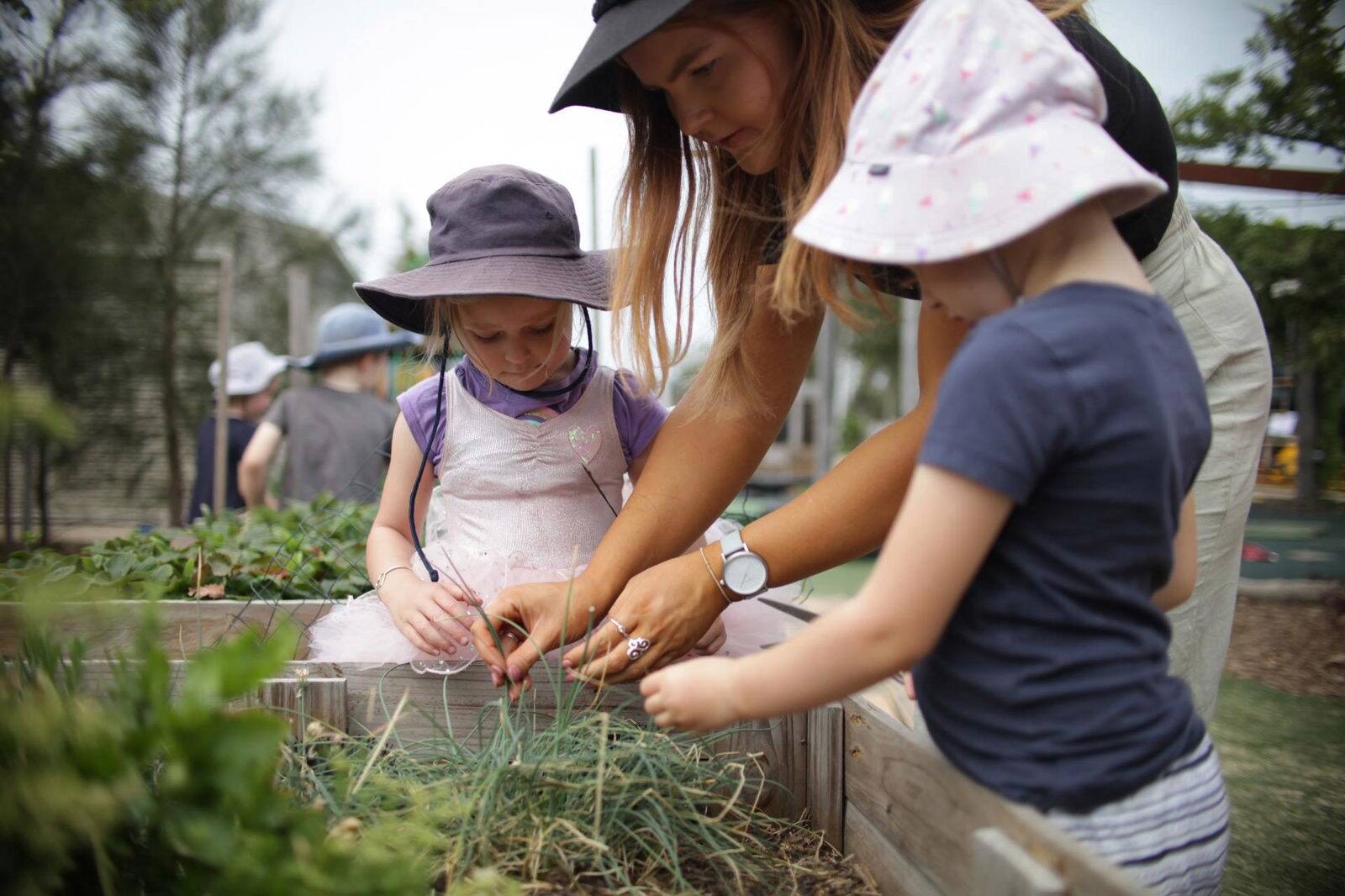 The Rumpus Room Children's Centre Broadmeadow