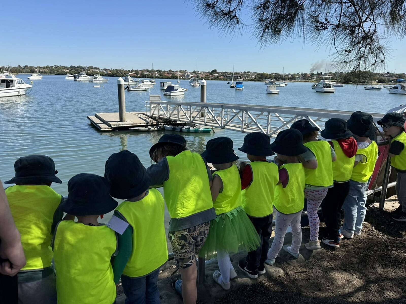 Explore & Develop - Norton Street Lilyfield