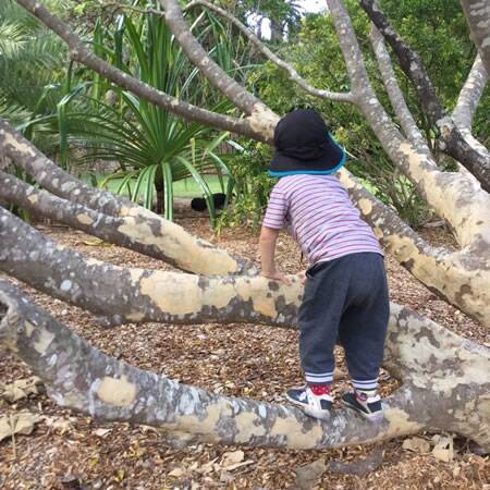 Mid Coast Family Day Care