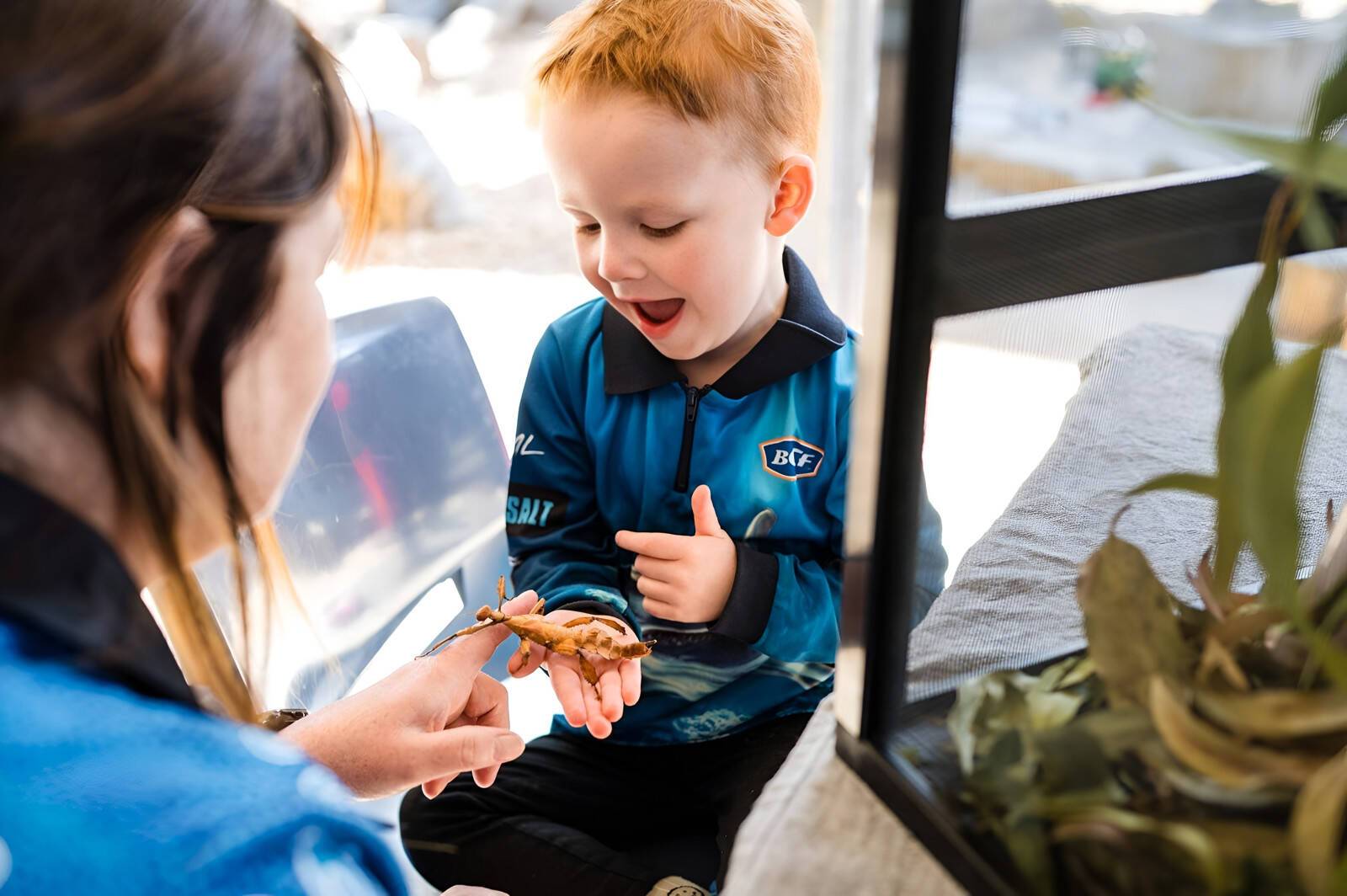 Goodstart Early Learning Gawler South