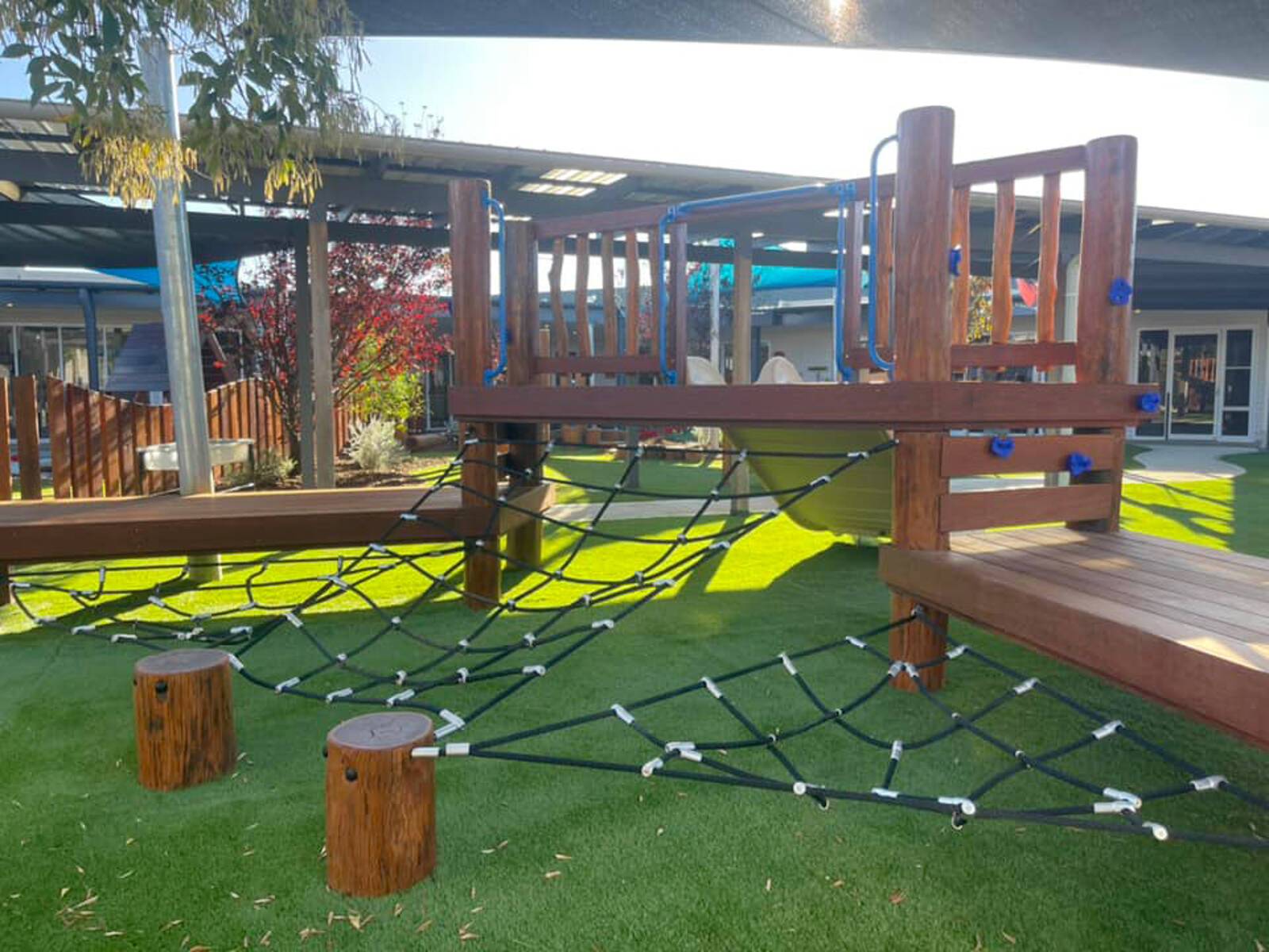 Busy Bees at Tamworth