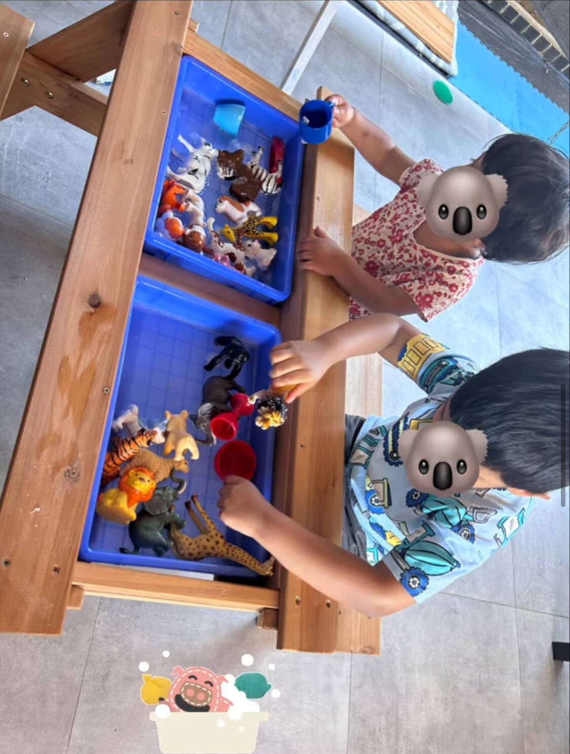 Koala kiddie family day care 