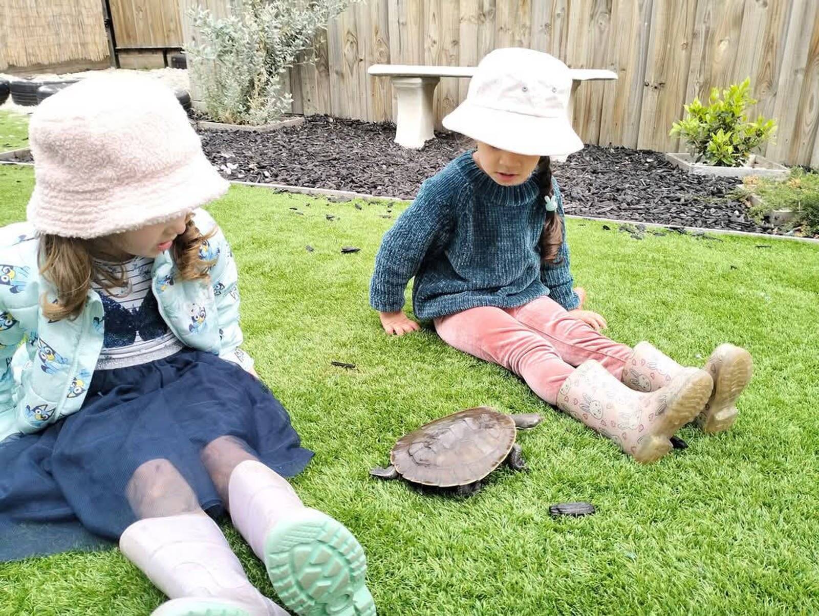 Shooting Stars Family Day Care 