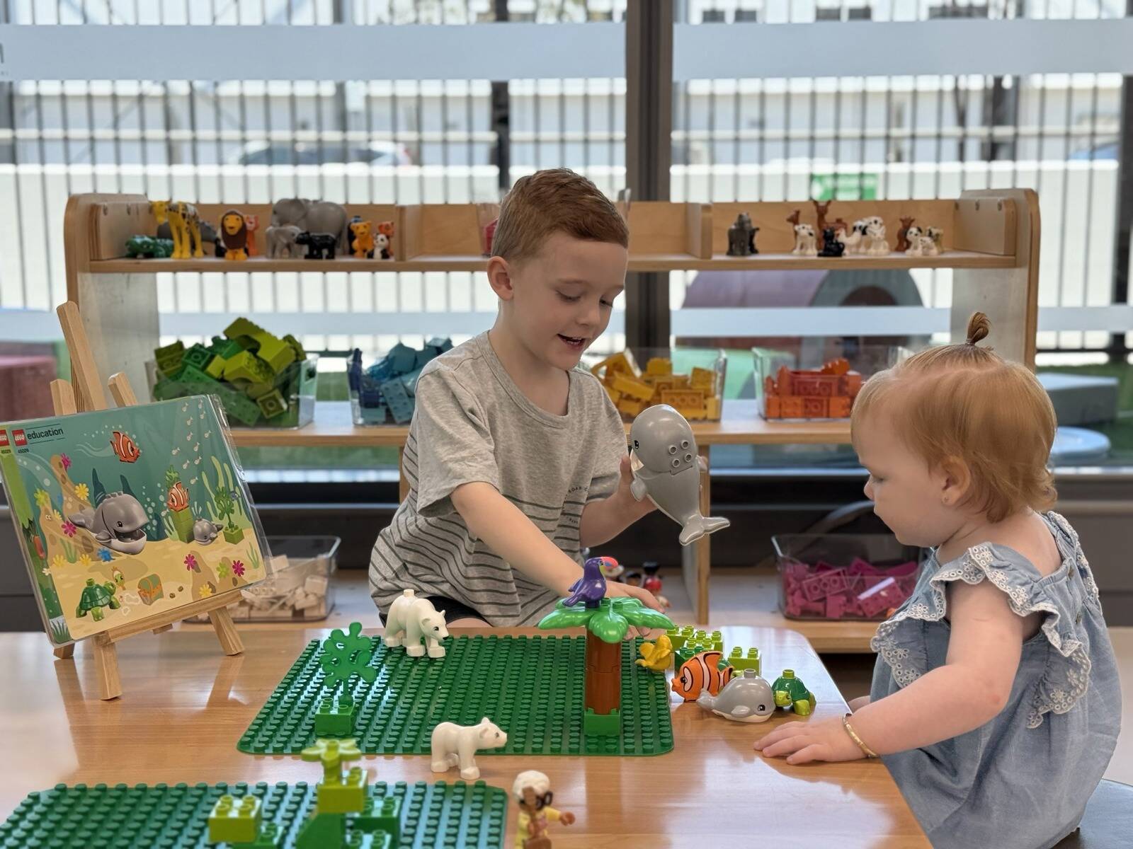 SDN Macquarie Park Long Day Care and Preschool